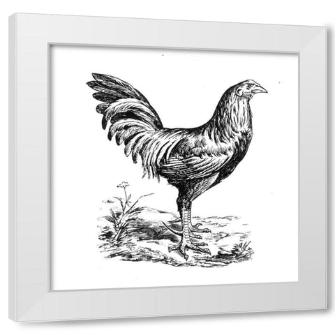 Chicken in the Yard White Modern Wood Framed Art Print by Art Licensing Studio