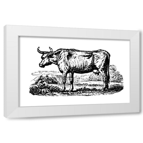 Horned Cow White Modern Wood Framed Art Print by Art Licensing Studio