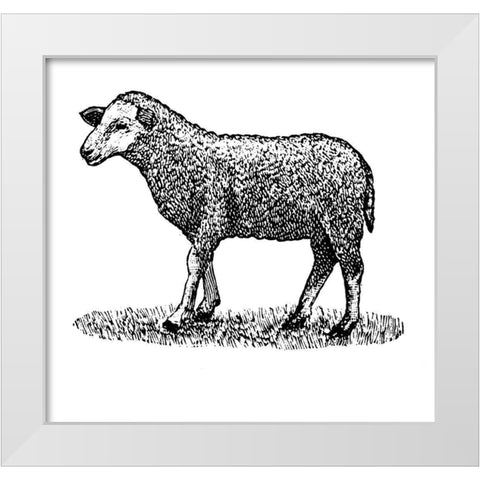 Little Ewe White Modern Wood Framed Art Print by Art Licensing Studio