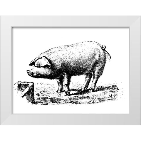 Nice Pig White Modern Wood Framed Art Print by Art Licensing Studio