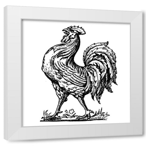 Proud Rooster White Modern Wood Framed Art Print by Art Licensing Studio