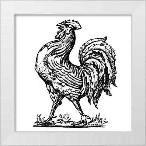 Proud Rooster White Modern Wood Framed Art Print by Art Licensing Studio