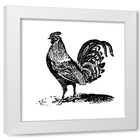 Rooster Ready White Modern Wood Framed Art Print by Art Licensing Studio