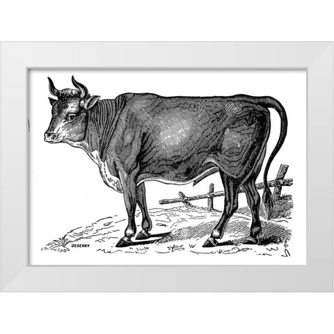 The Happy Cow White Modern Wood Framed Art Print by Art Licensing Studio