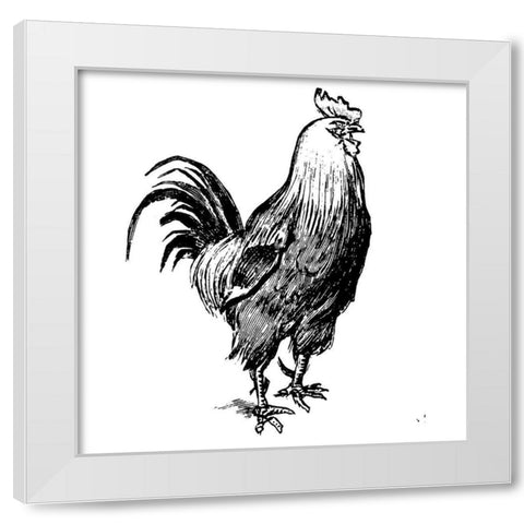The Rooster Guard White Modern Wood Framed Art Print by Art Licensing Studio
