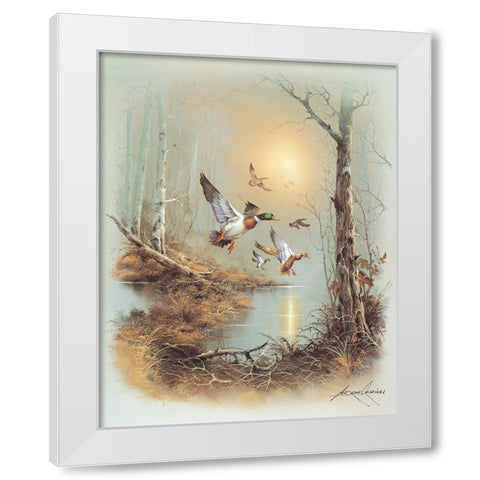 Ducks A White Modern Wood Framed Art Print by Orpinas, Andres