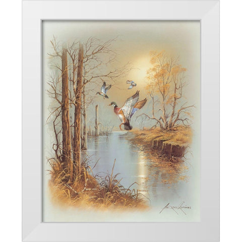 Ducks B White Modern Wood Framed Art Print by Orpinas, Andres