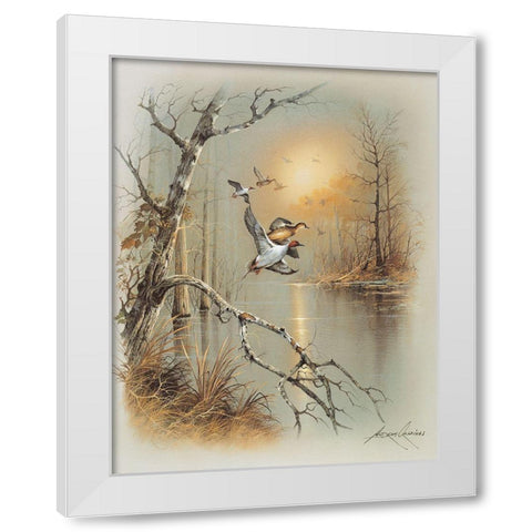 Ducks C White Modern Wood Framed Art Print by Orpinas, Andres