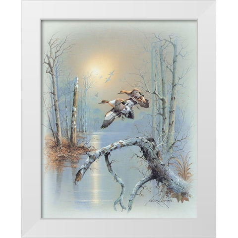 Ducks D White Modern Wood Framed Art Print by Orpinas, Andres