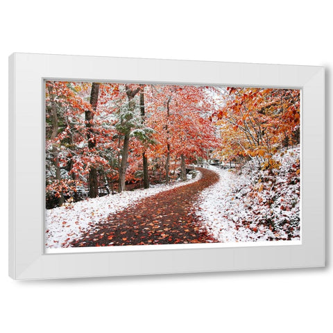 2 Seasons White Modern Wood Framed Art Print by Heine, Ben
