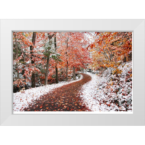 2 Seasons White Modern Wood Framed Art Print by Heine, Ben