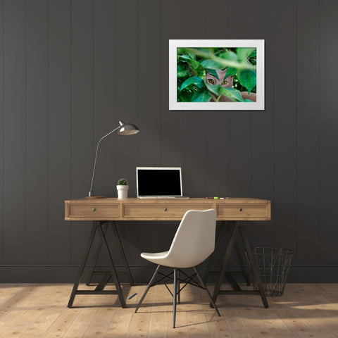 Abandoned Cat - 3 White Modern Wood Framed Art Print by Heine, Ben