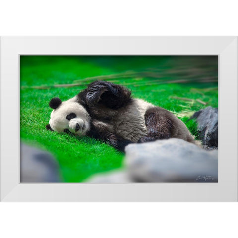 Bamboo Right in my Stomach 2 White Modern Wood Framed Art Print by Heine, Ben