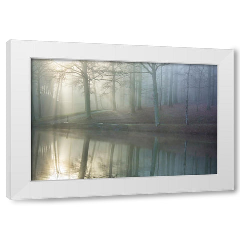 Echo White Modern Wood Framed Art Print by Heine, Ben