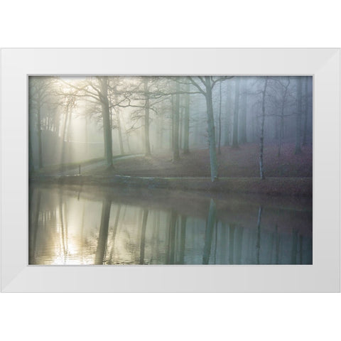 Echo White Modern Wood Framed Art Print by Heine, Ben