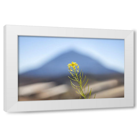 El Teide White Modern Wood Framed Art Print by Heine, Ben