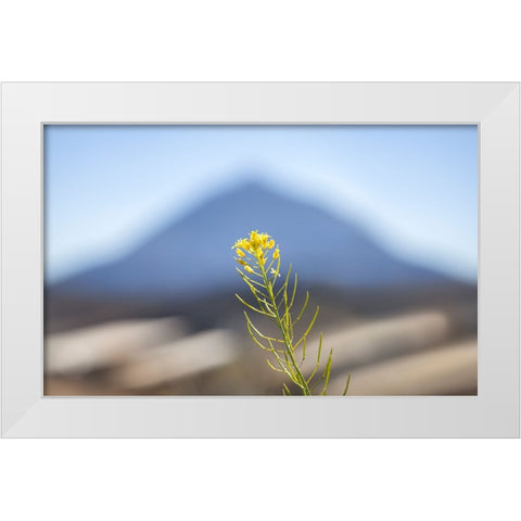 El Teide White Modern Wood Framed Art Print by Heine, Ben