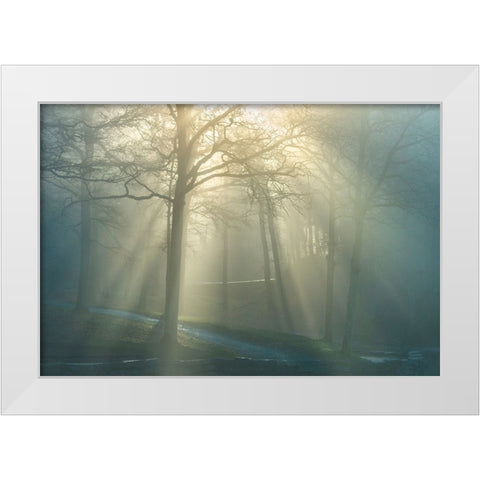 Forest Melody White Modern Wood Framed Art Print by Heine, Ben