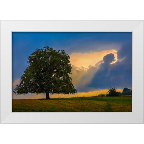 Gods Rays White Modern Wood Framed Art Print by Heine, Ben