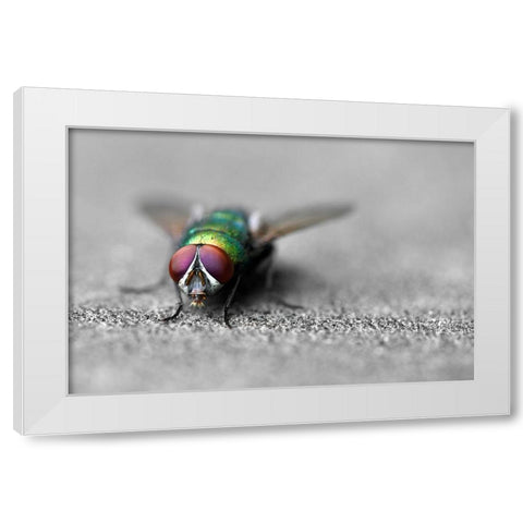 Hello White Modern Wood Framed Art Print by Heine, Ben