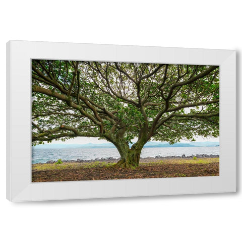Goma 3 White Modern Wood Framed Art Print by Heine, Ben