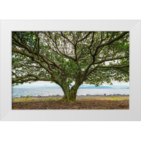 Goma 3 White Modern Wood Framed Art Print by Heine, Ben