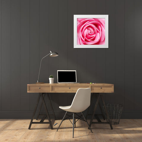 Petal by Petal White Modern Wood Framed Art Print by Heine, Ben