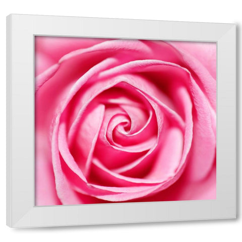 Petal by Petal White Modern Wood Framed Art Print by Heine, Ben