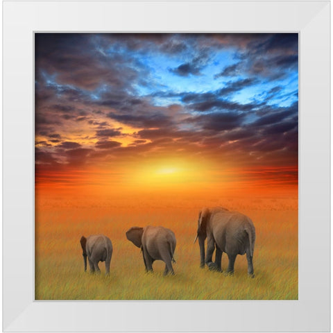 The Future is Bright White Modern Wood Framed Art Print by Heine, Ben
