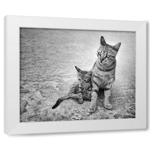 Never Leave Me Alone White Modern Wood Framed Art Print by Heine, Ben