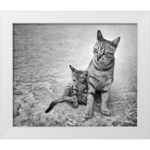 Never Leave Me Alone White Modern Wood Framed Art Print by Heine, Ben