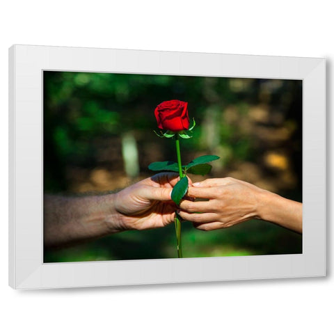 Red Union White Modern Wood Framed Art Print by Heine, Ben