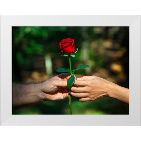 Red Union White Modern Wood Framed Art Print by Heine, Ben