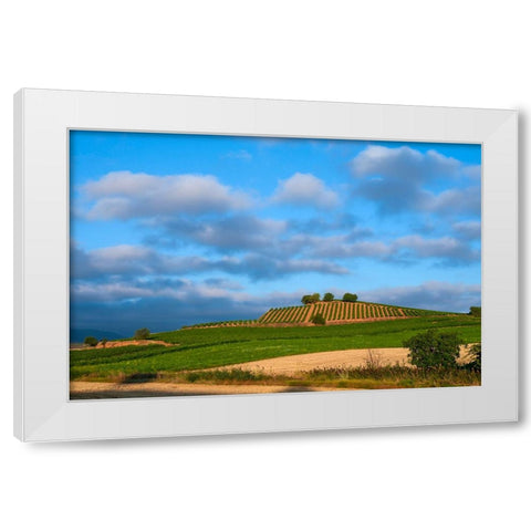 Santiago de Compostela pilgrimage - 6 White Modern Wood Framed Art Print by Heine, Ben