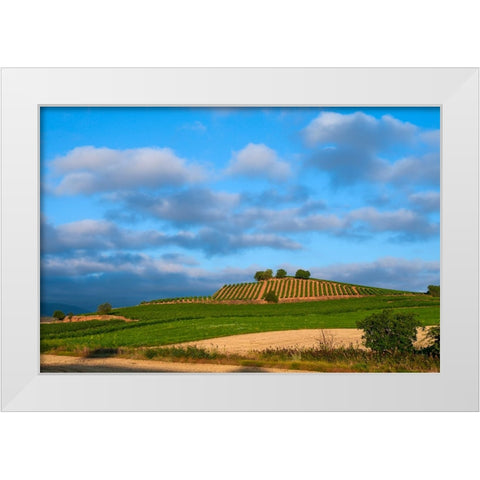 Santiago de Compostela pilgrimage - 6 White Modern Wood Framed Art Print by Heine, Ben