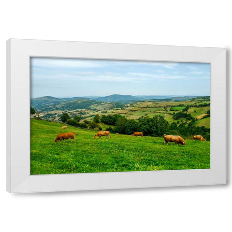 Santiago de Compostela pilgrimage - 237 White Modern Wood Framed Art Print by Heine, Ben