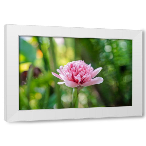 Thailand - 156 White Modern Wood Framed Art Print by Heine, Ben