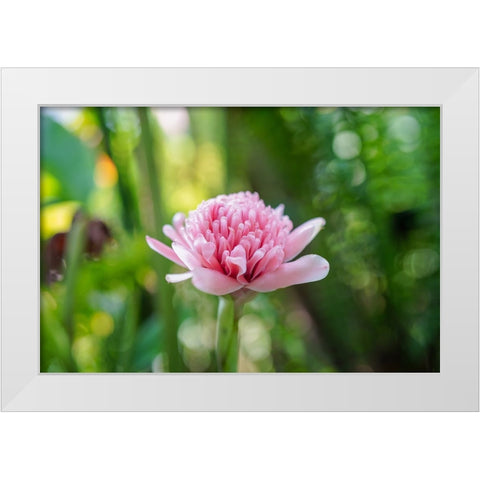 Thailand - 156 White Modern Wood Framed Art Print by Heine, Ben