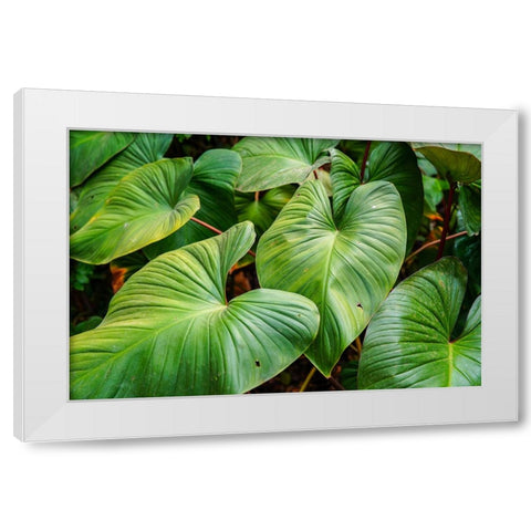 Thailand - 158 White Modern Wood Framed Art Print by Heine, Ben