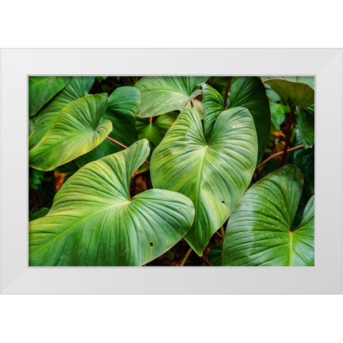 Thailand - 158 White Modern Wood Framed Art Print by Heine, Ben