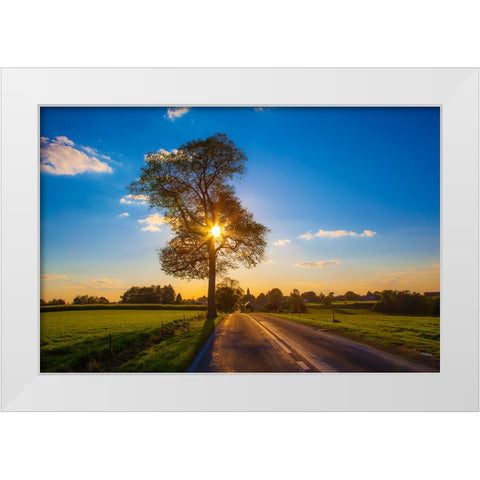The Gift of Life White Modern Wood Framed Art Print by Heine, Ben