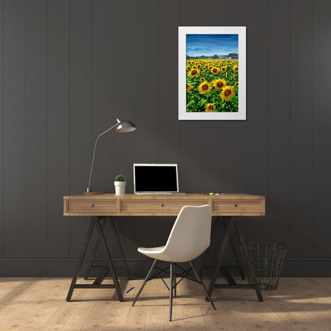 Turn your Face to the Sun White Modern Wood Framed Art Print by Heine, Ben