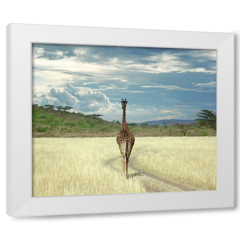 Until I get There White Modern Wood Framed Art Print by Heine, Ben