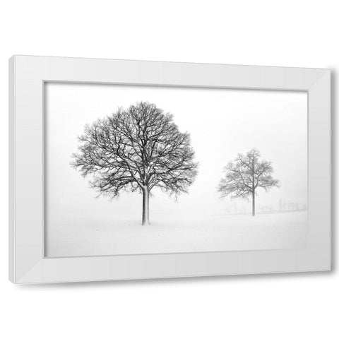 We Grow and Die Together White Modern Wood Framed Art Print by Heine, Ben