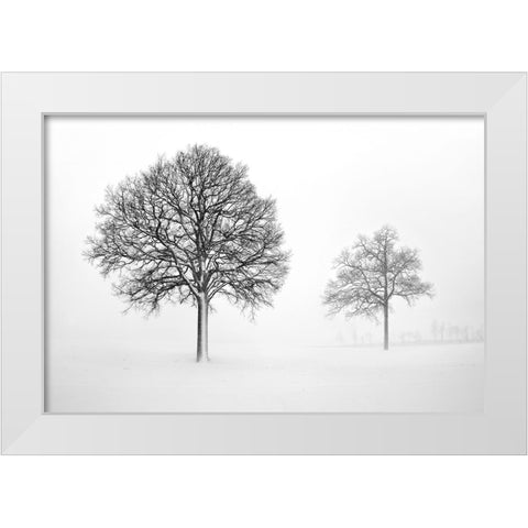 We Grow and Die Together White Modern Wood Framed Art Print by Heine, Ben