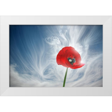 8 You Drive Me Crazy White Modern Wood Framed Art Print by Heine, Ben