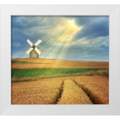 Countryside White Modern Wood Framed Art Print by Heine, Ben