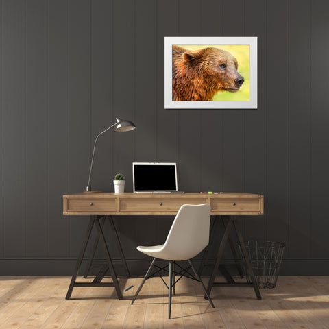 Cute Bear 2 White Modern Wood Framed Art Print by Heine, Ben