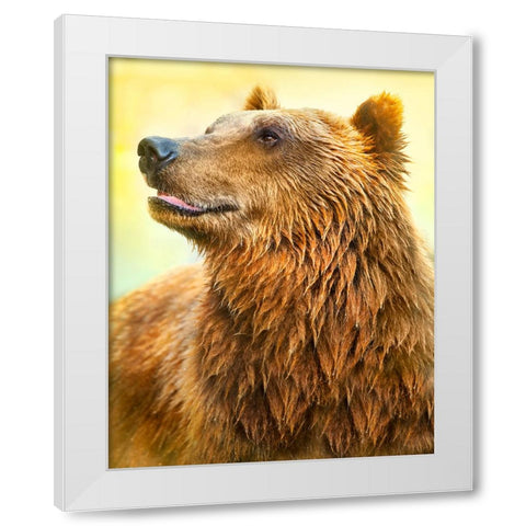 Cute Bear White Modern Wood Framed Art Print by Heine, Ben