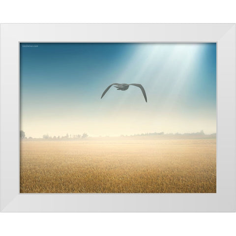 Freedom Start Here White Modern Wood Framed Art Print by Heine, Ben